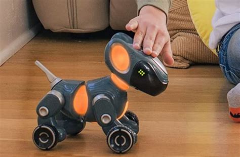 Codage Simple Pyxel Python 的图像结果