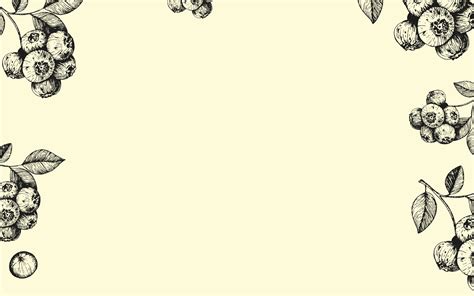 Bio Heidelbeersaft kaufen - Säfte24.de