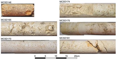 Laser In Situ U–Pb Isotope Dating of Carbonate Rocks in Weijia Guyot in ...