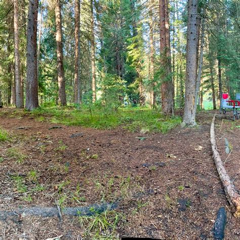 Chapman Campground And Group Camp - White River NF | Meredith, CO