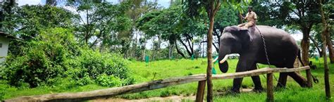 Coorg Responsible Wildlife Tourism: Eco-Friendly Safaris & Conservation