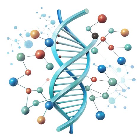 3d Dna Molecule Model