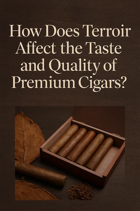 Cigars vs. Cigarettes: The Truth About Premium Tobacco – Cigar Inc