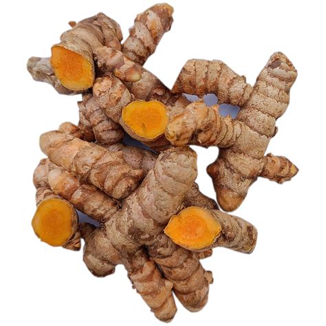We Care Eco Products Fresh Turmeric Roots | Kachchi Haldi | Taaja ...