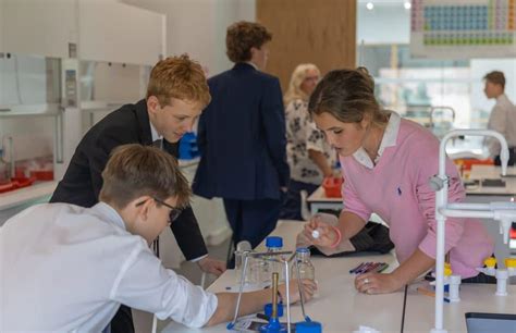 Image result for IB Student Collaborative Project