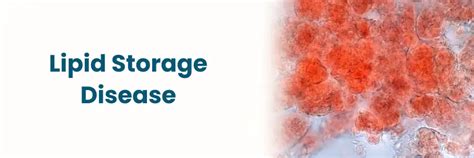 Lipid Storage Diseases: Causes, Symptoms, and Treatment