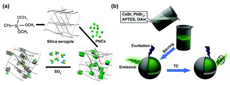 Recent Progress of Perovskite Nanocrystals in Chem/Bio Sensing