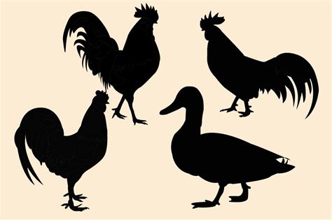 Farm Birds Silhouette Graphic by Anup Ray · Creative Fabrica