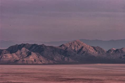 Great Basin Ute: Grouse Creek Mountains, NW Utah