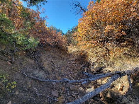 Wet mountain Getaway - Hipcamp in Beulah, Colorado