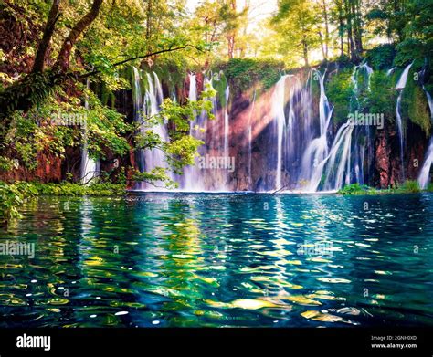 Water Spring Scenery 的图像结果