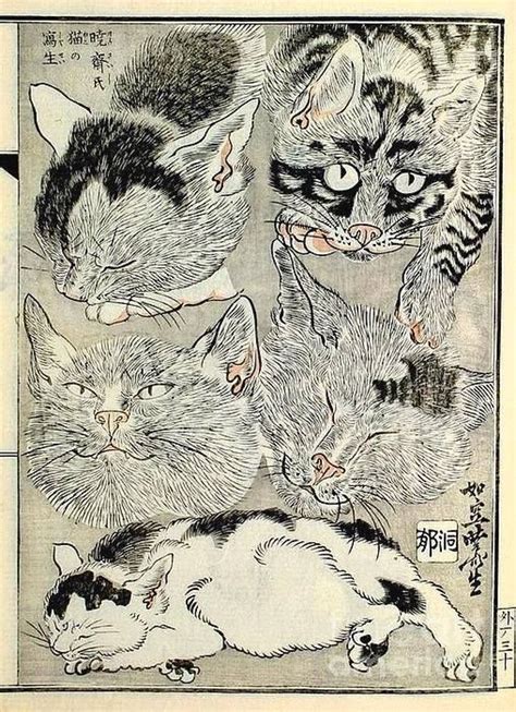 an old book with cats and kittens on it