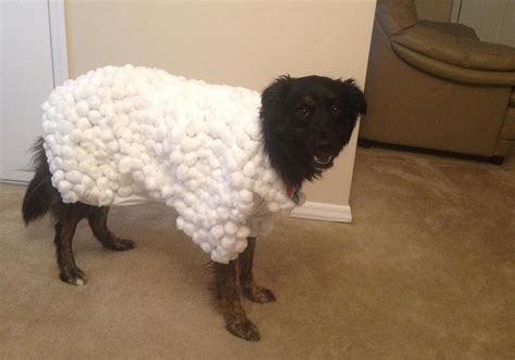 Dog Halloween Costume Sheep at Margurite Stokes blog