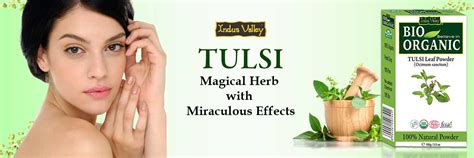 Bio-Organic Tulsi Leaf Powder – Indus Valley