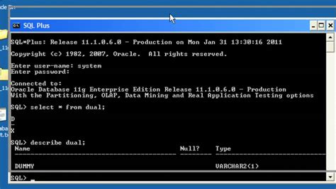 Image result for Oracle SQL YouTube