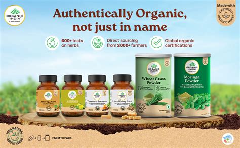 A TATA Product - Organic India Amalaki Capsules, 60 Capsules, Supports ...
