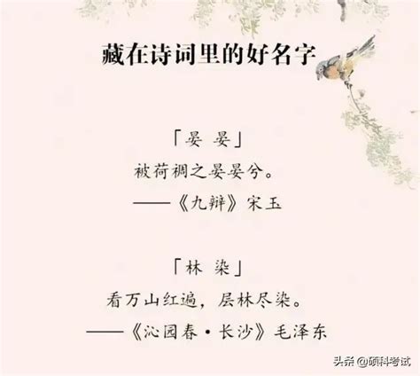 爪子1998的插画作品 - 《诗经》插画系列——采蘋 - 插画中国 - www.chahua.org