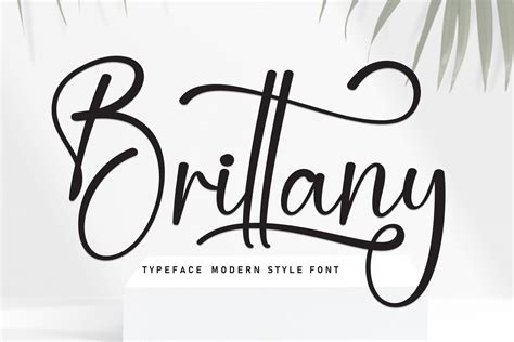 Brittany Font by andikastudio · Creative Fabrica