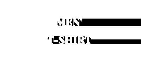 Company Overview - Ningbo Bell Garment Industrial Co., Ltd.