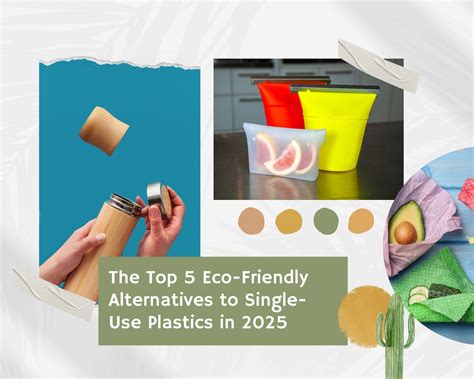 The Top 5 Eco-Friendly Alternatives to Single-Use Plastics in 2025 - BV Trash Valet & Recycling