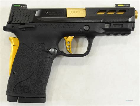 Smith & Wesson MP380 Shield EZ 380 ACP Range Kit with Handgun Case ...