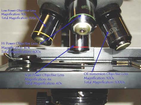 Image result for Objectives Microscope Function