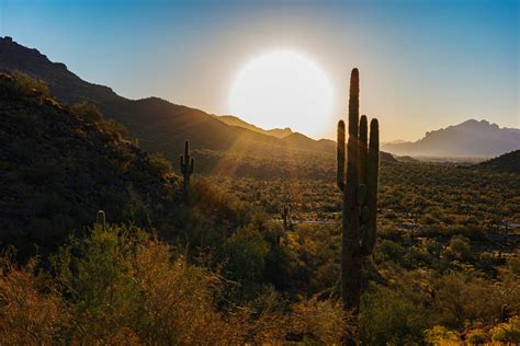 Therapists in Phoenix That Accept Medicaid | Momentum CAC