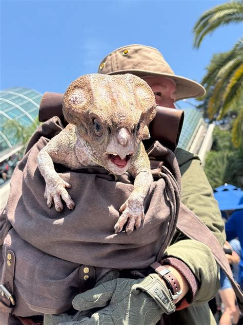 Video / Photos: Meet Dolores the Adorable Aquilops from "Jurassic World ...