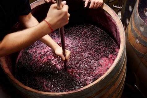 为什么不建议自己酿葡萄酒？看完这篇文章，你还敢自酿葡萄酒吗？__凤凰网