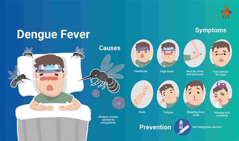 ઝડપથી વધી રહેલા ડેન્ગ્યુના લક્ષણો અને કારણો – Gujarat Mirror