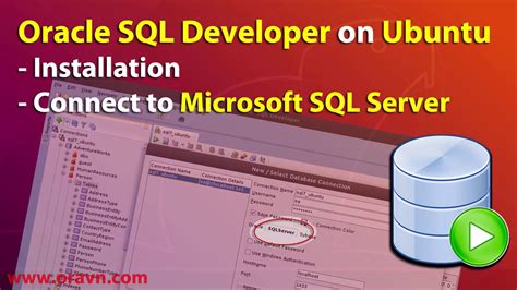 Image result for SQL Server Developer Oracle