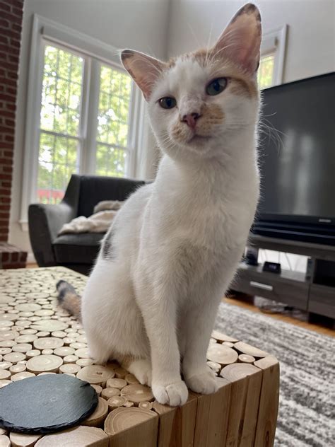 weekend open thread - July 29-30, 2023 - Ask a Manager