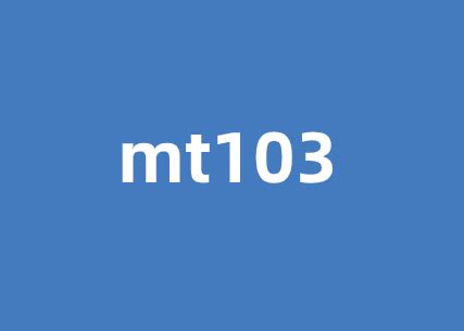 Examples of SWIFT MT103 Form