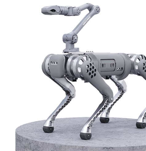 UniTree Robot Arm 的图像结果