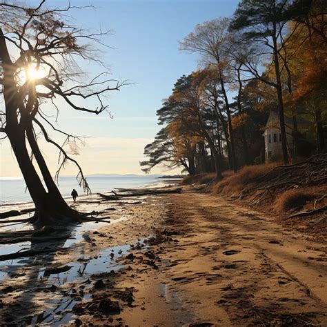 Stunning Sandy Point State Park Photos Unveiled