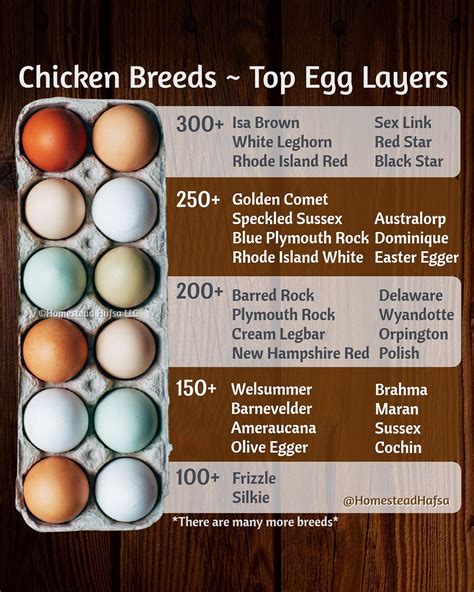 Hafsa Saleem | Backyard Chickens & Farming for Beginners | Fun chart I ...