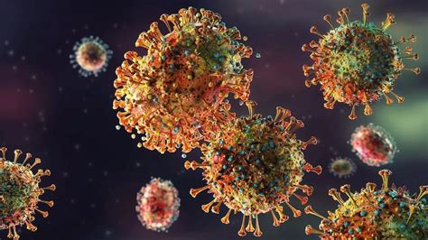 Deadly virus family detected in US: Will it trigger the next pandemic ...
