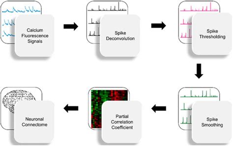 FARCI: Fast and Robust Connectome Inference