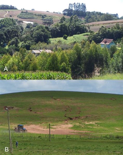 Rural Area 的图像结果