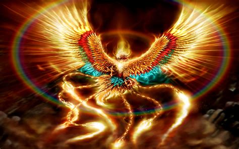Custom Task Evaluation - Phoenix HD Wallpaper HD Wallpaper