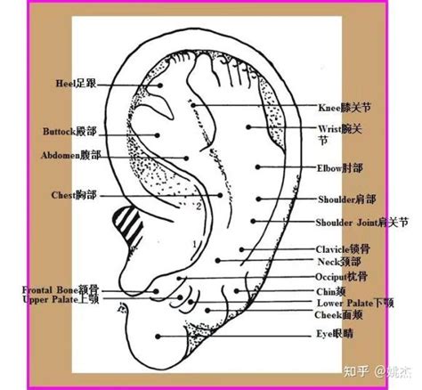 Image result for What Are Consider Computer Program