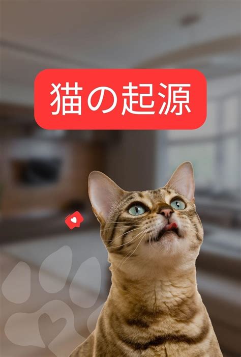 The Origin of Cats: The Surprising History of Cat Domestication ...