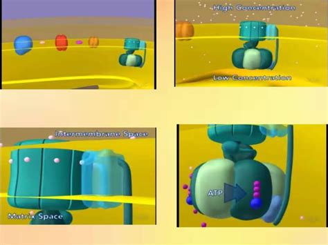 Image result for Implementation Computer Science