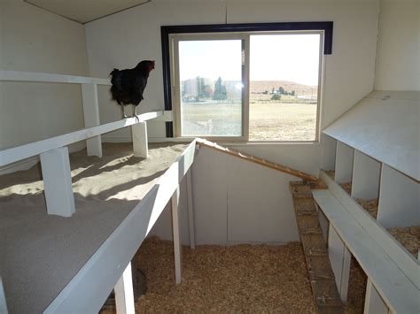 The Little Red Hen House | Inside chicken coop, Chicken coop designs ...