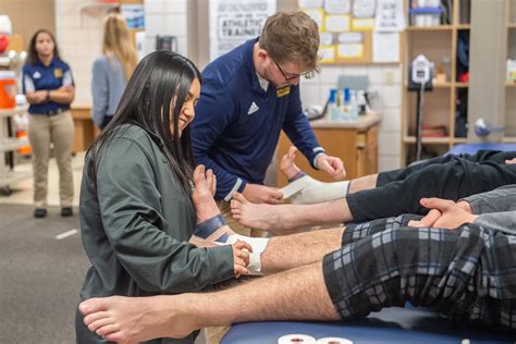 Pre-Professional | Franklin College | Find your future at Franklin ...