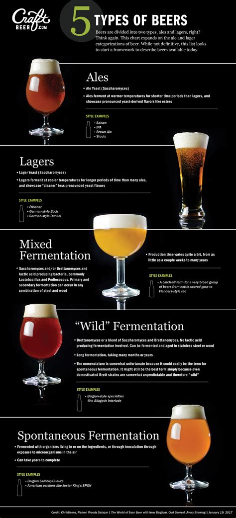 The Sour Beer Pickle in American Craft Brewing: Defining a Beer Style