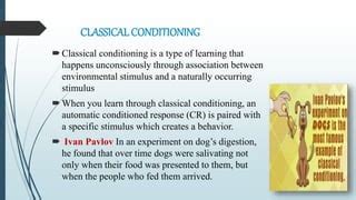 Behaviorism 的图像结果