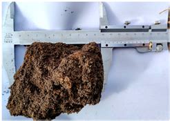 Design and Test of an Arc-Shaped Tooth Press Device for Combined Soil ...