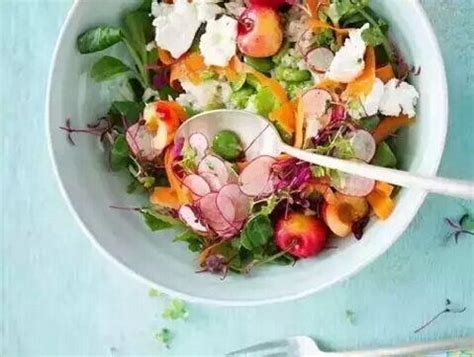 吃素的买什么礼物最新素材