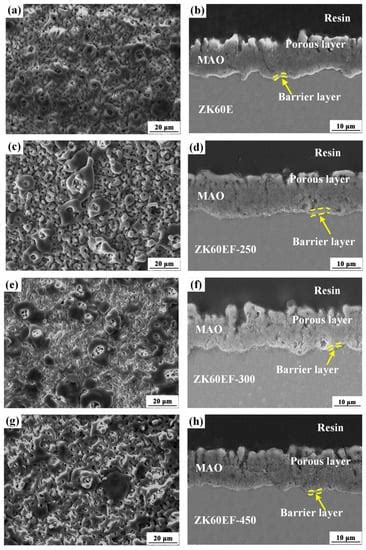 Corrosion Protection of ZK60 Wrought Magnesium Alloys by Micro-Arc ...